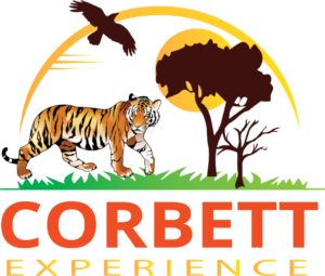 corbett safari packages
